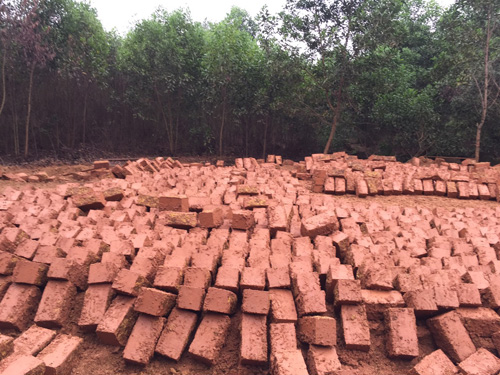 Hình ảnh phơi đá ong