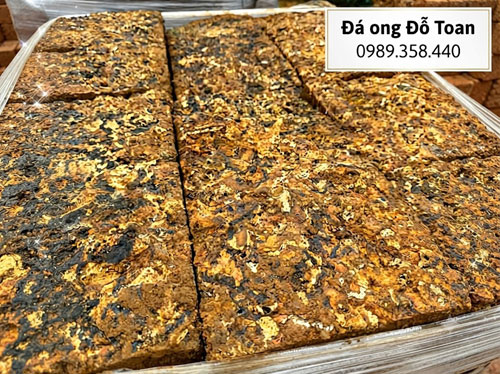 Gạch đá ong và báo giá mới nhất